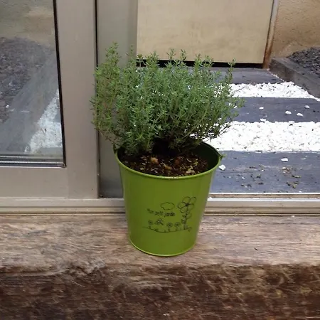 Patio Wilson Ξενοδοχείο 2*